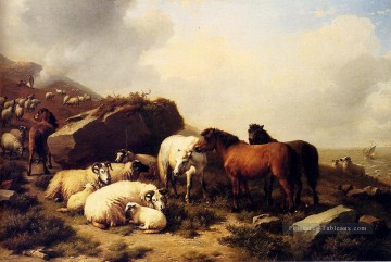  cot - Chevaux et moutons de la côte Eugène Verboeckhoven animal